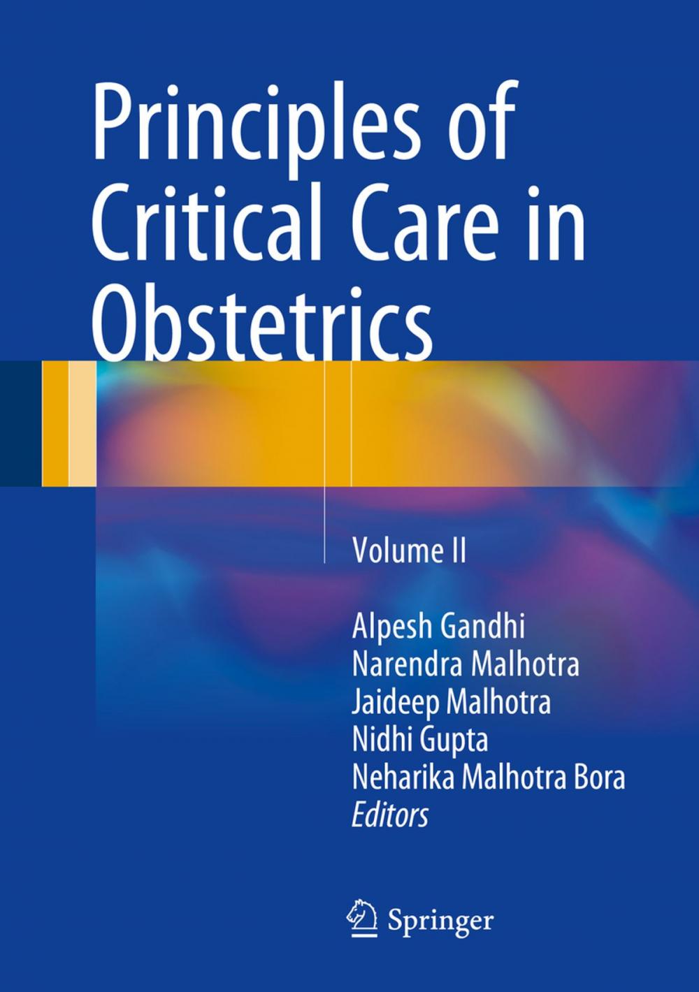 Big bigCover of Principles of Critical Care in Obstetrics