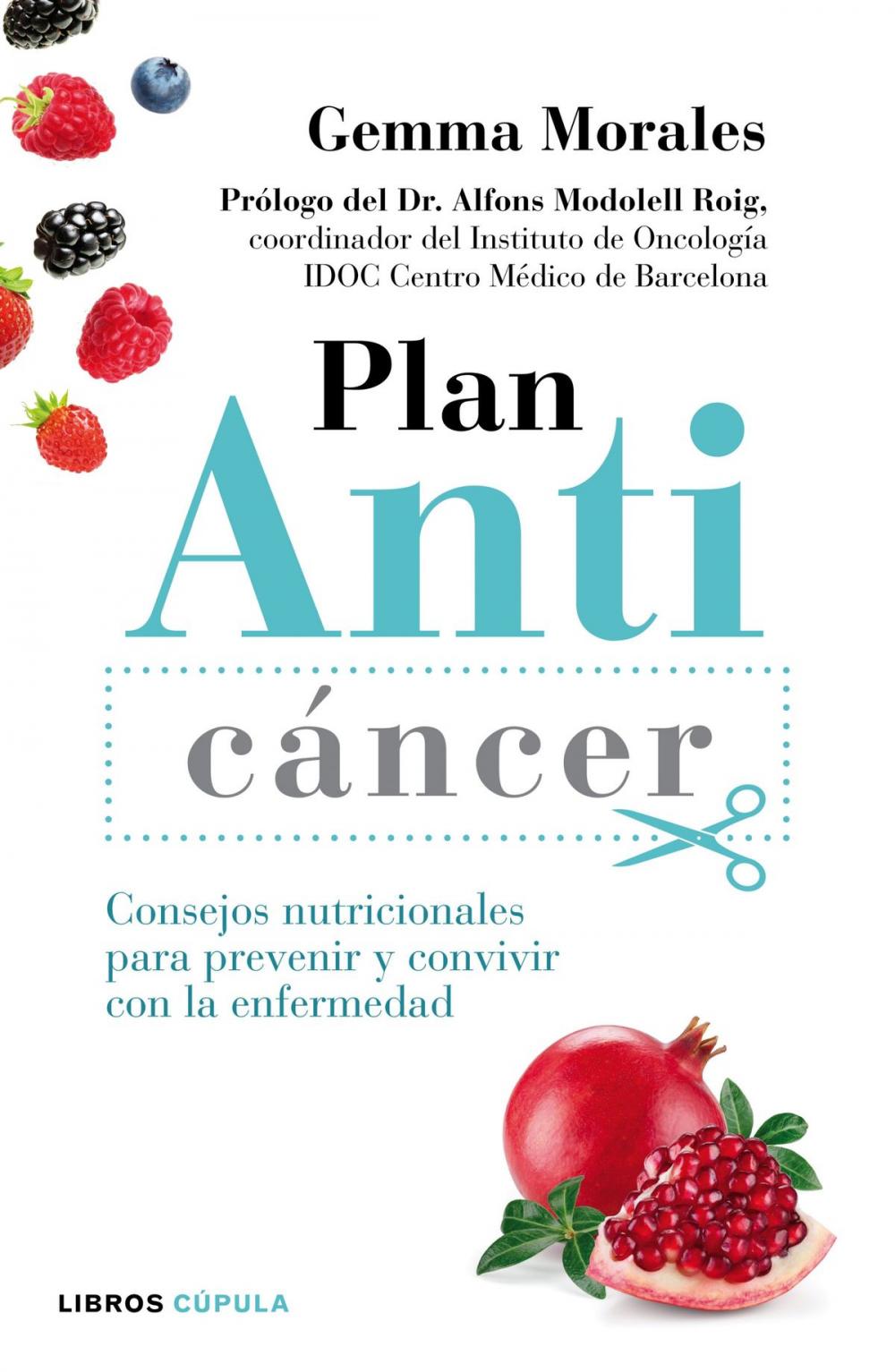 Big bigCover of Plan anticáncer