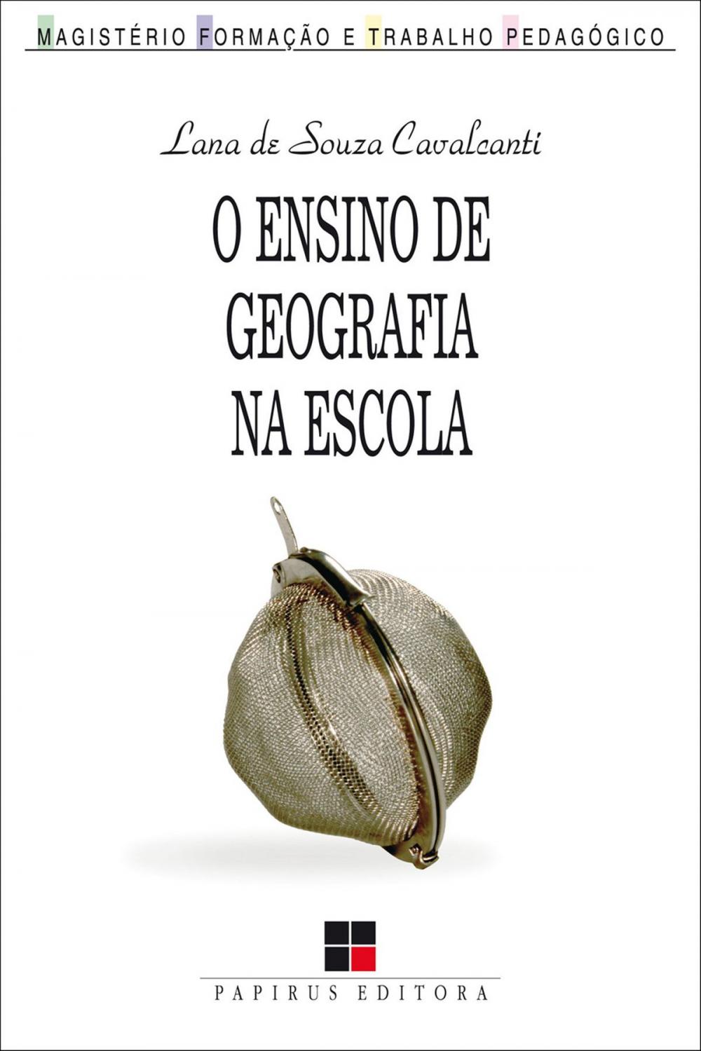 Big bigCover of O Ensino de geografia na escola