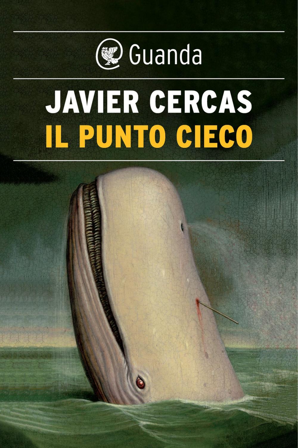 Big bigCover of Il punto cieco