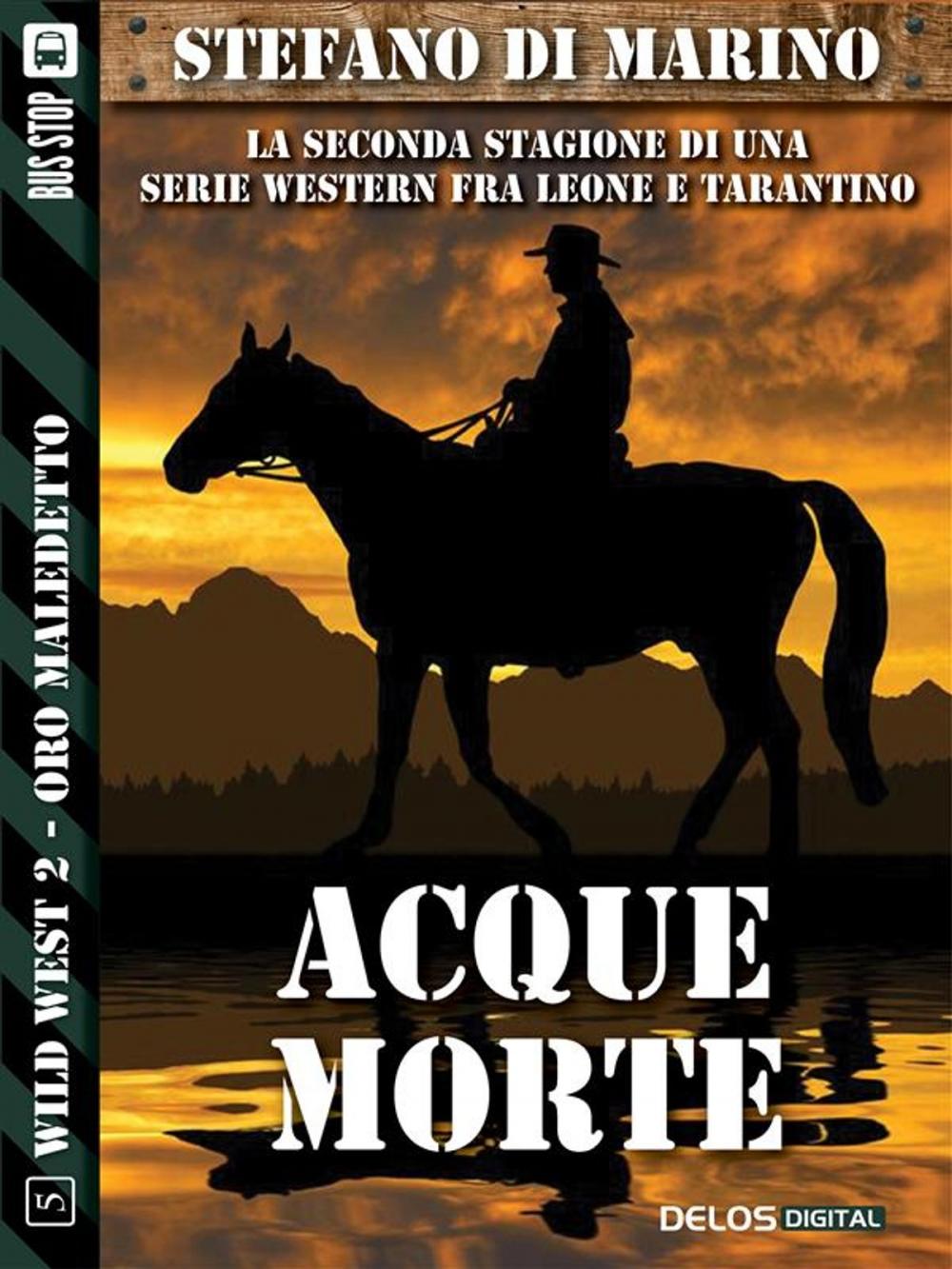 Big bigCover of Acque morte