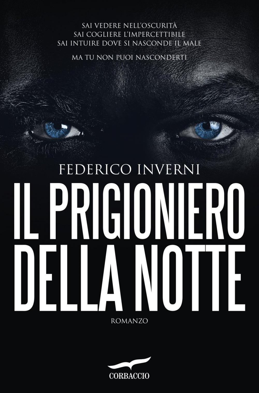 Big bigCover of Il prigioniero della notte