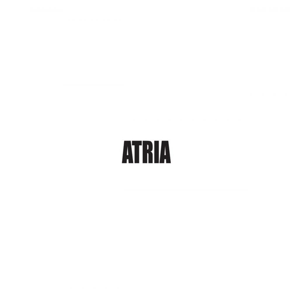 Big bigCover of ATRIA