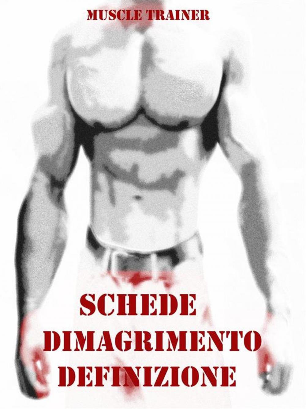 Big bigCover of Schede Allenamento Dimagrimento e Definizione