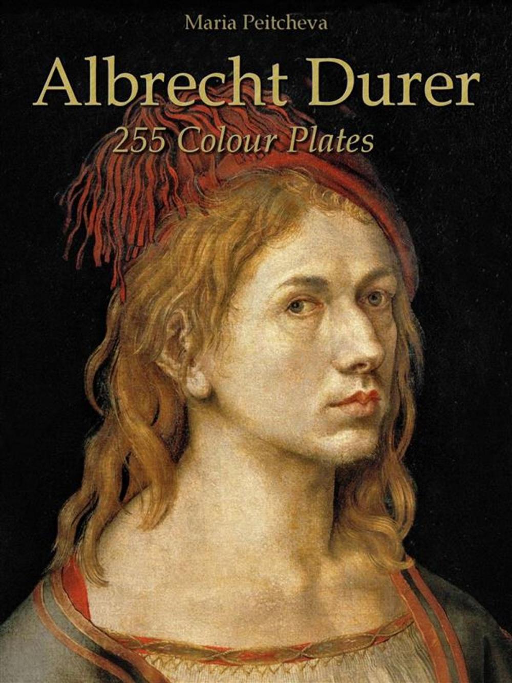 Big bigCover of Albrecht Durer: 255 Colour Plates