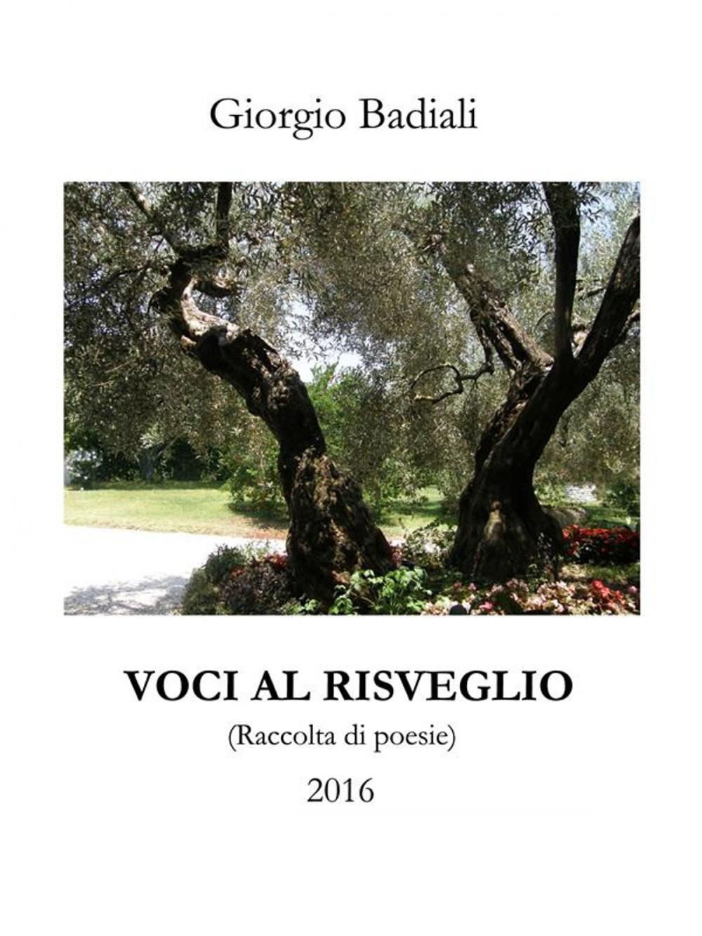 Big bigCover of Voci al risveglio