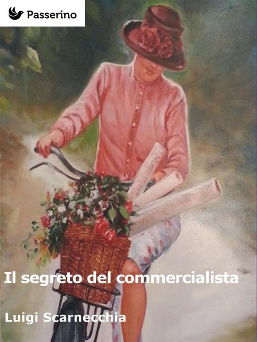 Big bigCover of Il segreto del commercialista