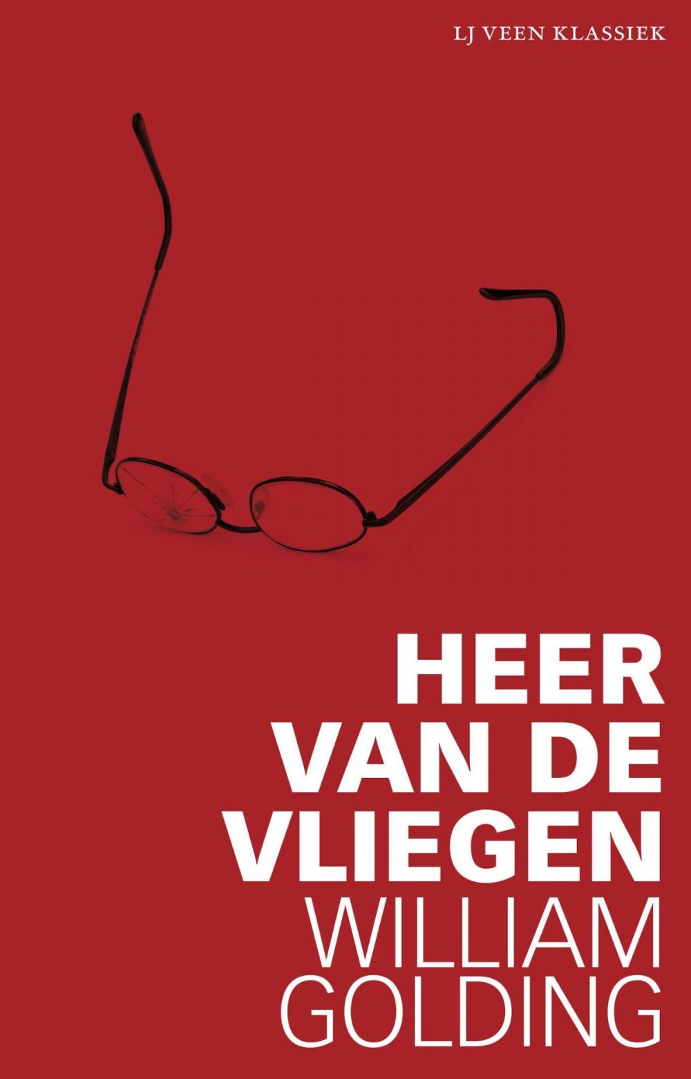 Big bigCover of Heer van de vliegen