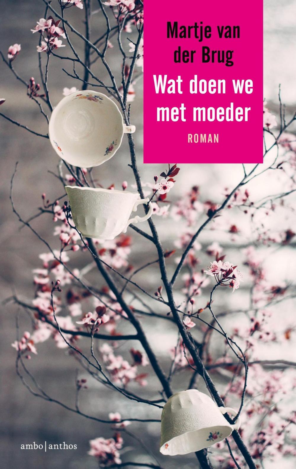 Big bigCover of Wat doen we met moeder