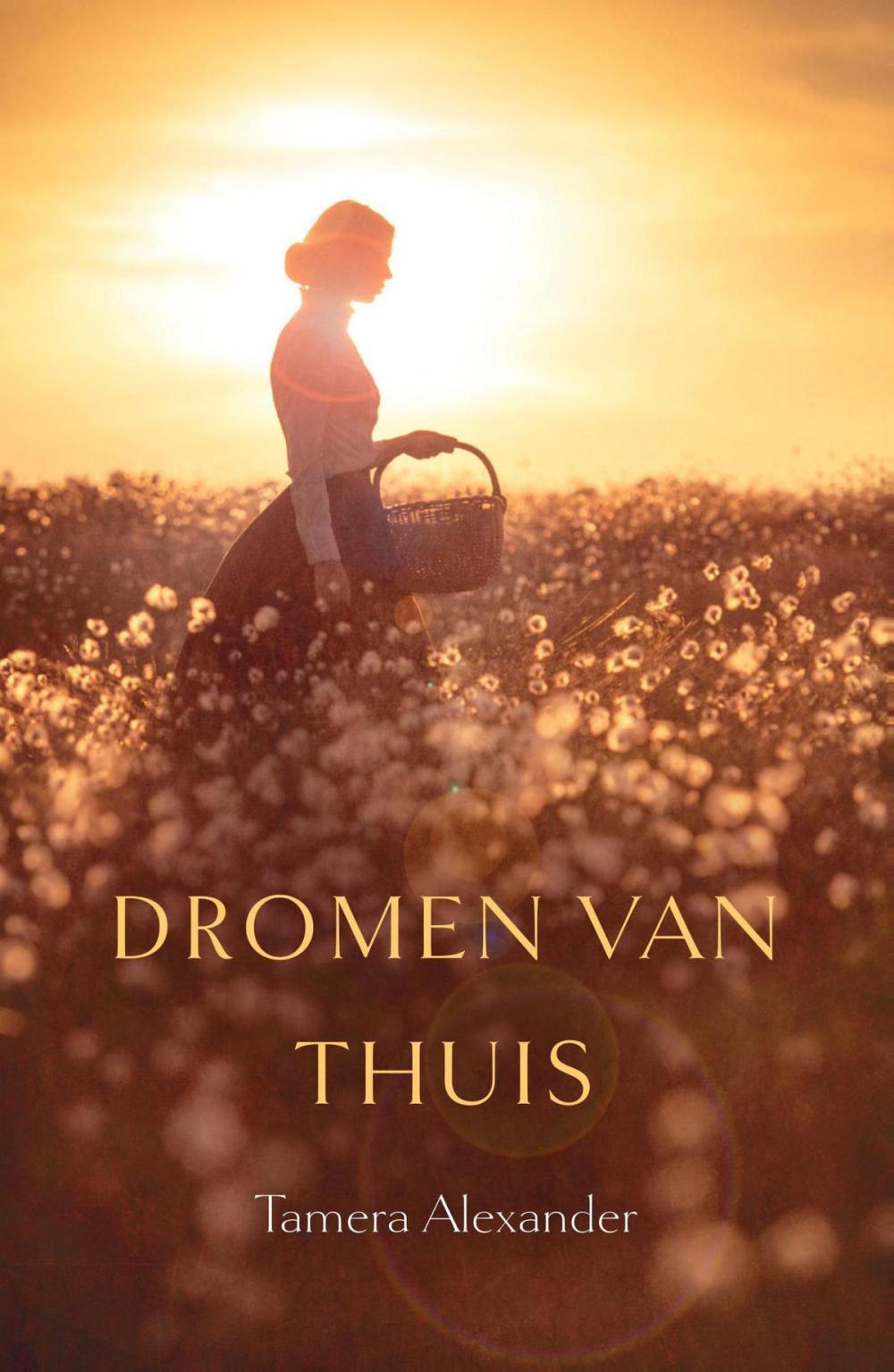 Big bigCover of Dromen van thuis