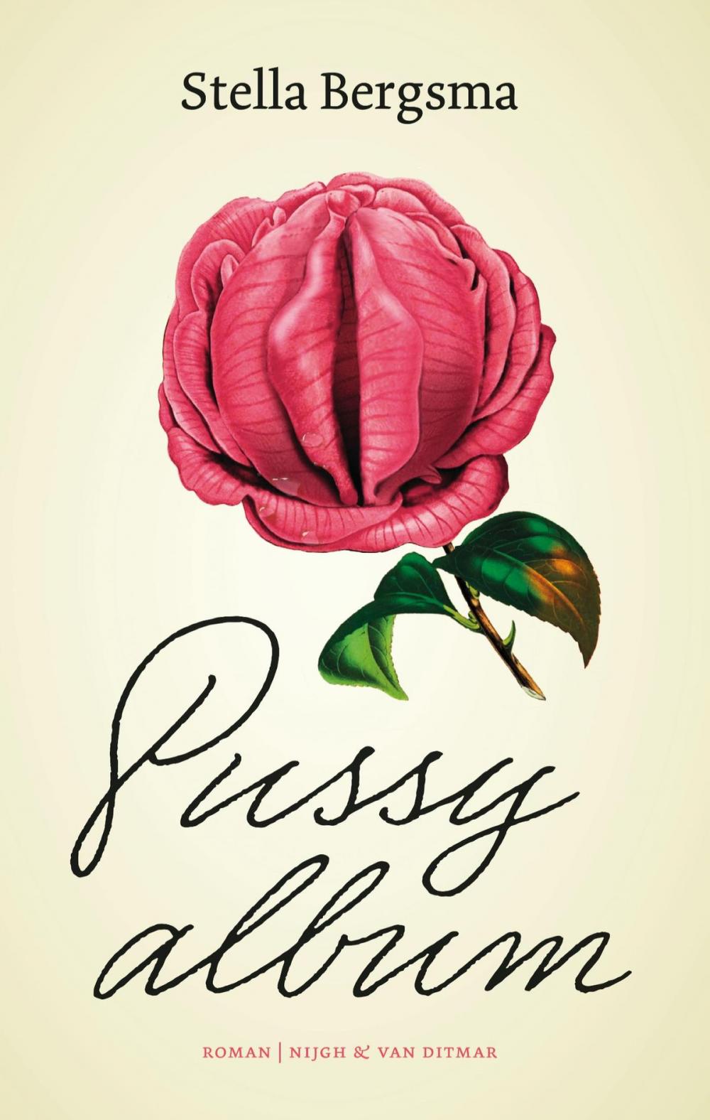 Big bigCover of Pussy album