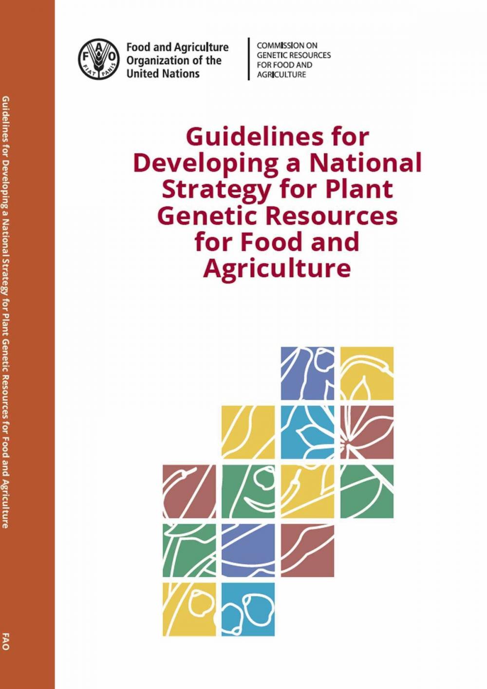 Big bigCover of Guidelines For Developing a National Strategy for Plant Genetic Resources for Food and Agriculture