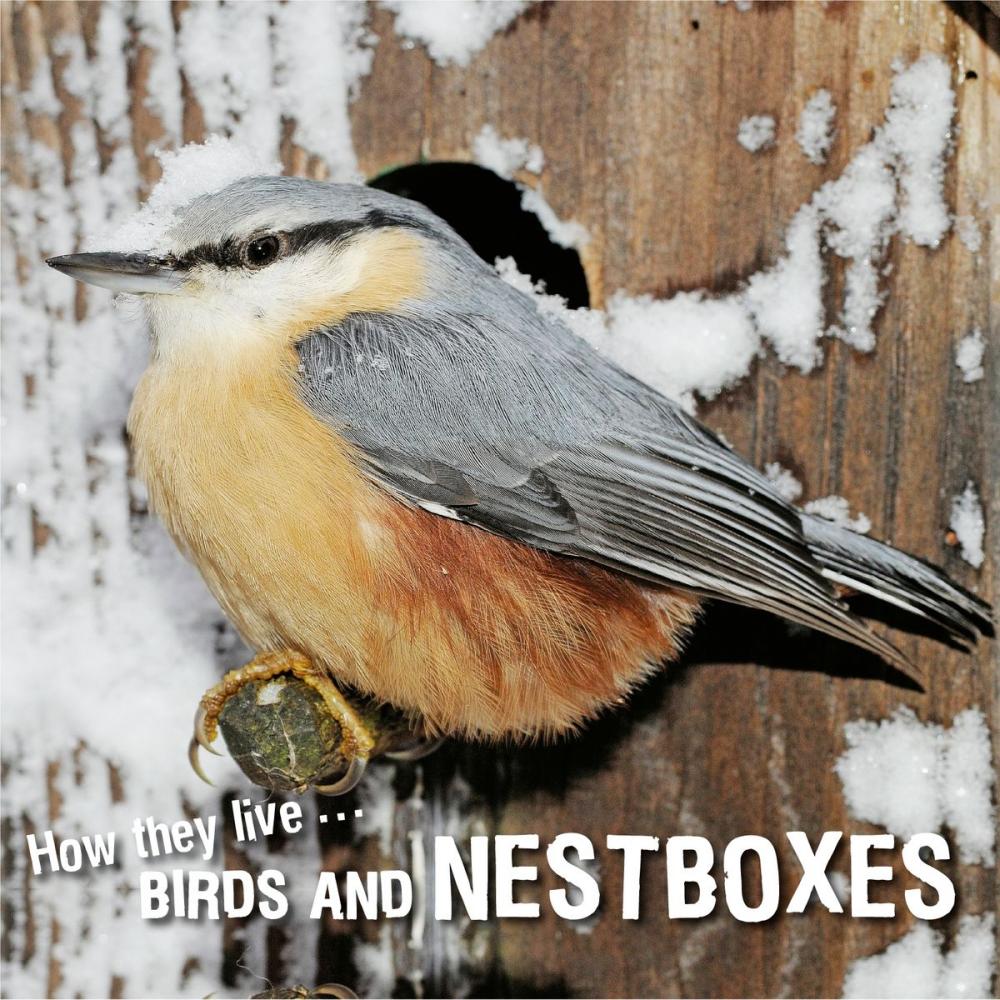 Big bigCover of How they live... Birds and nestboxes