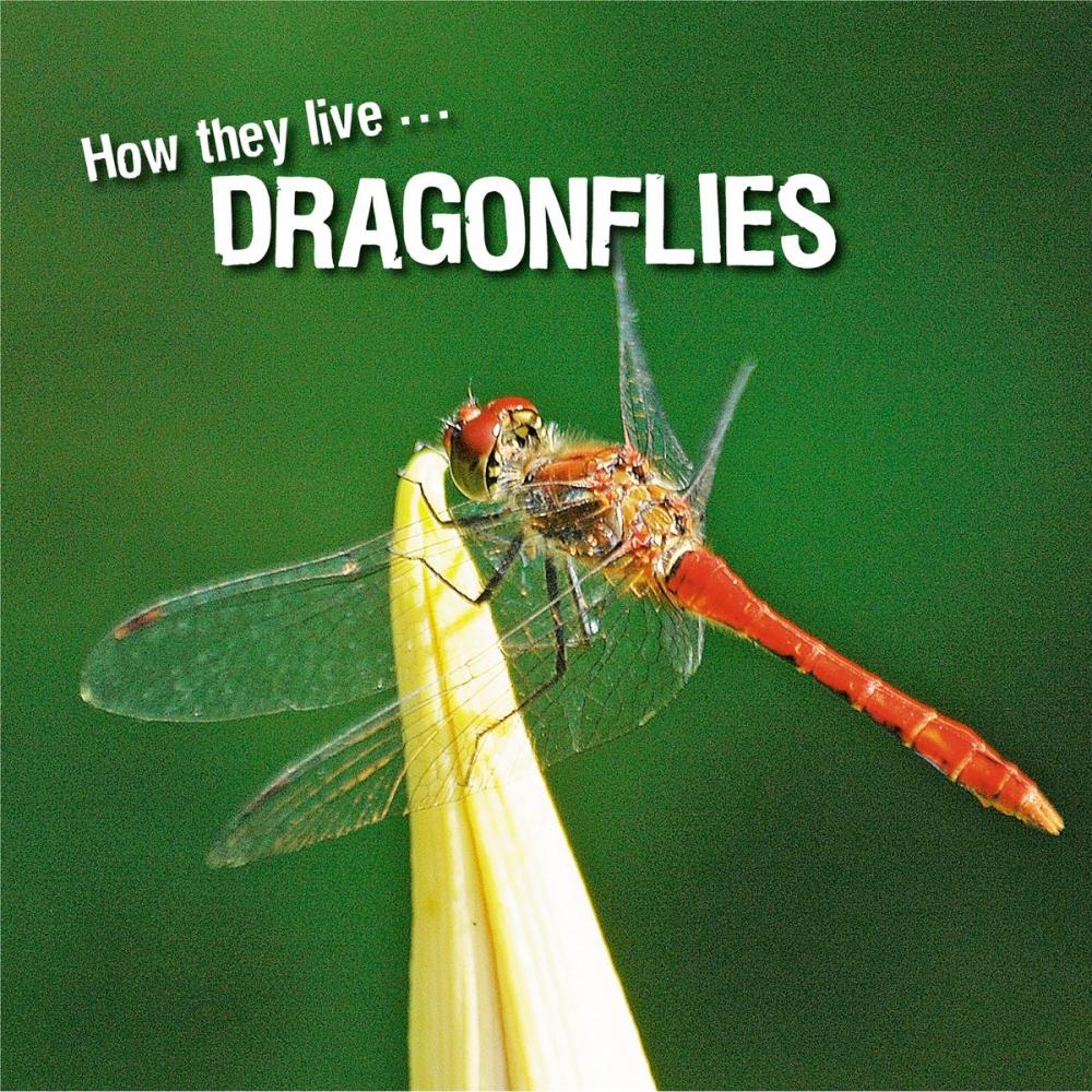 Big bigCover of How they live... Dragonflies