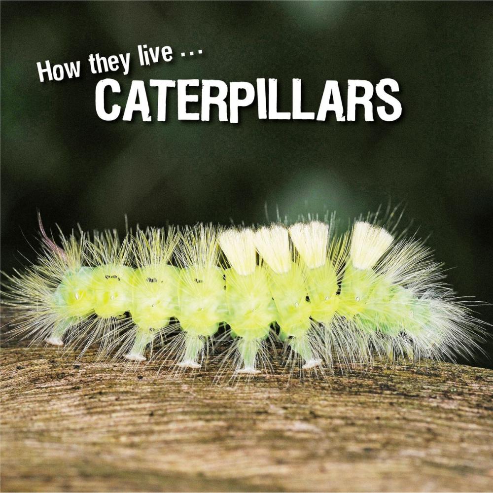 Big bigCover of How they live... Caterpillars