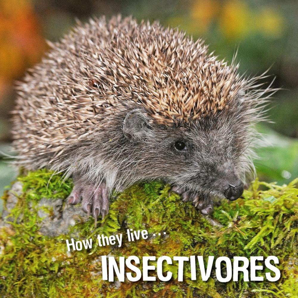 Big bigCover of How they live... Insectivores