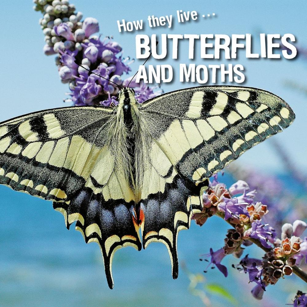 Big bigCover of How they live... Butterflies and Moths