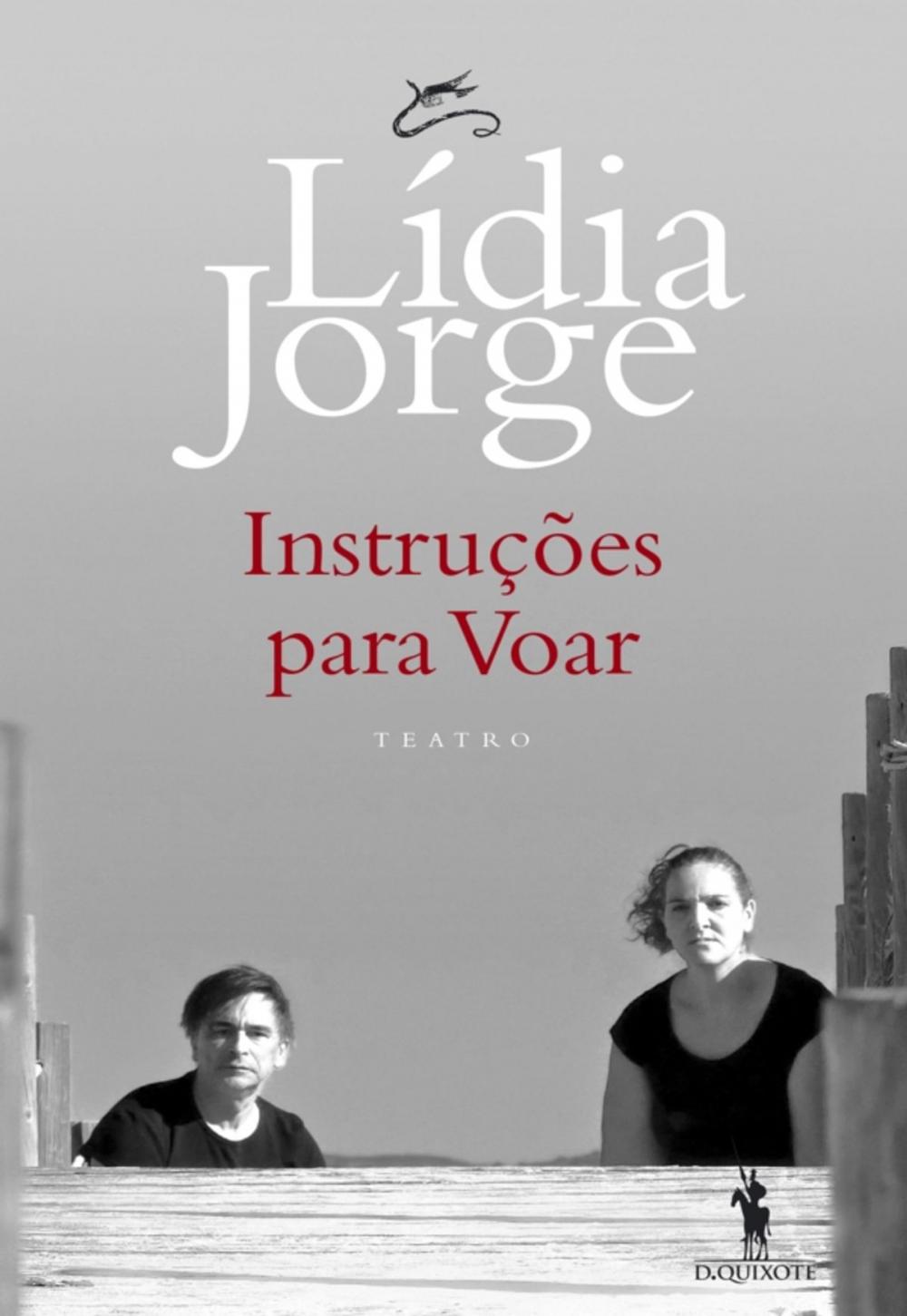 Big bigCover of Instruções para Voar