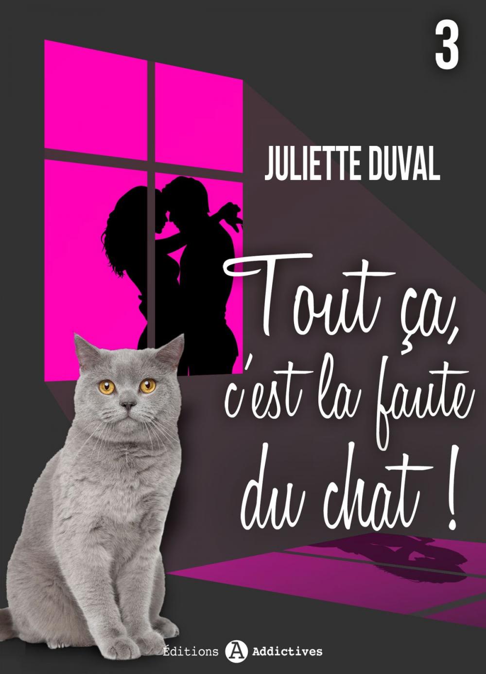 Big bigCover of Tout ça, c’est la faute du chat ! - 3