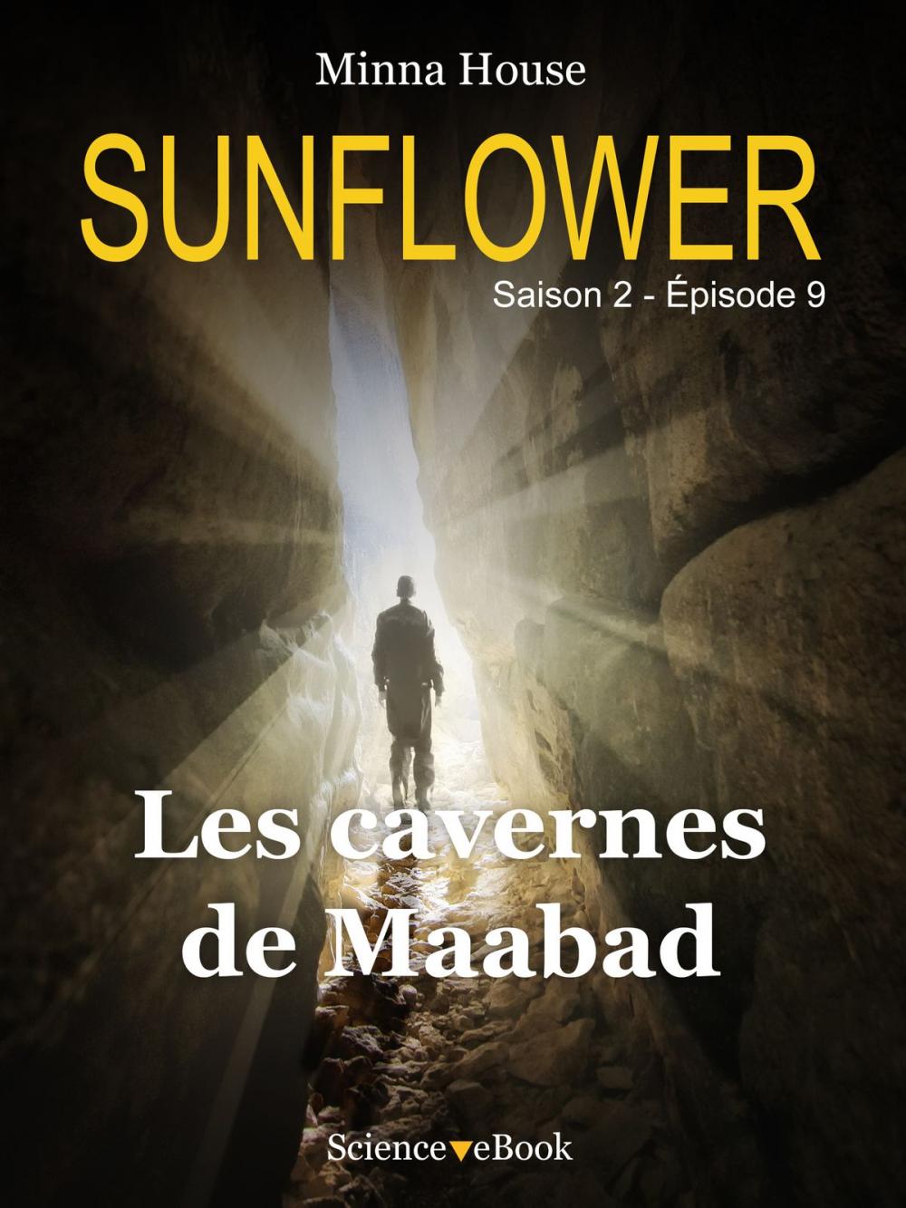 Big bigCover of SUNFLOWER - Les cavernes de Maabad