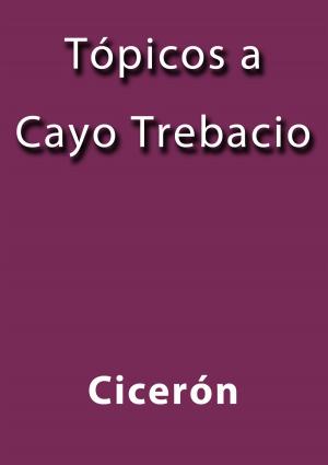 Cover of the book Tópicos a Cayo Trebacio by Mateo Alemán