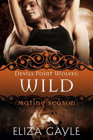 Cover of the book Wild by Julie Lopo