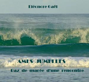 bigCover of the book AMES JUMELLES by 