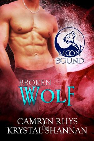 Cover of the book Broken Wolf by Patricia A. Rasey