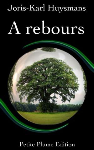 Cover of the book A rebours by Rick Everingham