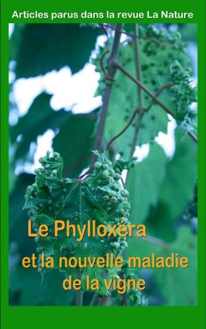 Cover of the book Le Phylloxéra et la nouvelle maladie de la vigne by Paulin Paris