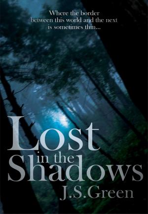 Cover of the book Lost in the Shadows by Stephanie Dorman