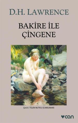 Cover of the book Bakire İle Çingene by Adnan Binyazar