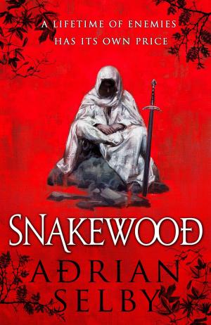 Cover of the book Snakewood by Amanda Downum