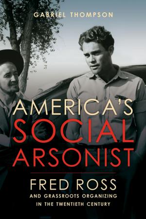 Cover of the book America's Social Arsonist by Leigh Goodmark