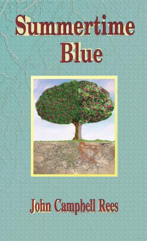bigCover of the book Summertime Blue by 