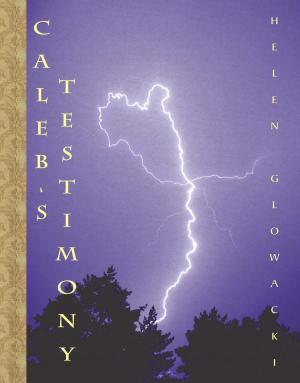 Cover of the book Caleb's Testimony by James Boyd