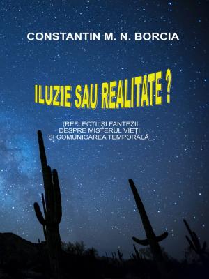Cover of the book Iluzie sau realitate? (Reflecții și fantezii despre misterul vieții și comunicarea temporală) by Prof. M.M. Ninan