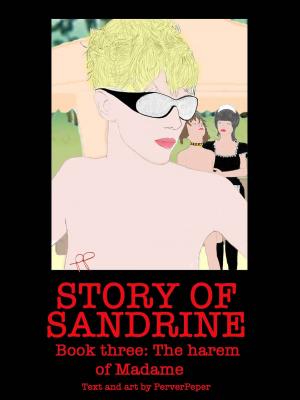 Cover of Story of Sandrine Book 3