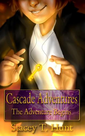 Book cover of The Adventure Begins
