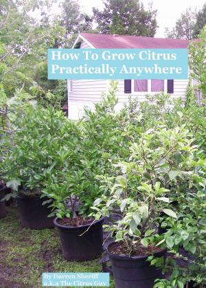 Book cover of How To Grow Citrus Practically Anywhere