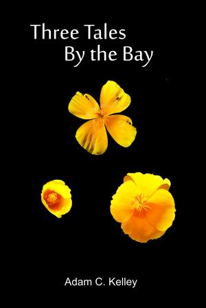 Book cover of Three Tales By the Bay