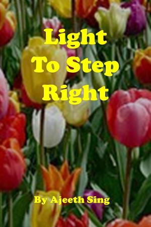 Cover of Light To Step Right