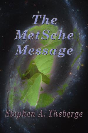 Cover of the book The MetSche Message by Natascia Zuccarelli-Pegoraro