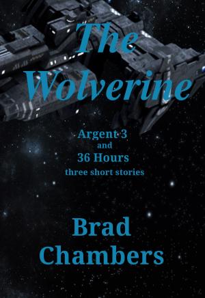 Cover of the book The Wolverine by Brenda Wright