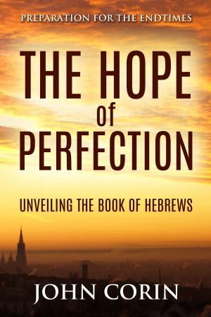 Cover of the book The Hope of Perfection by Starr Burroughs