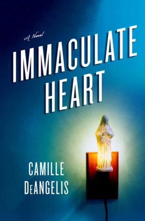 Cover of the book Immaculate Heart by Donna Hill