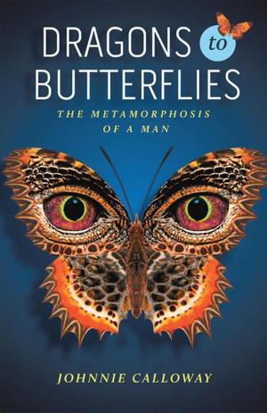 Book cover of Dragons to Butterflies