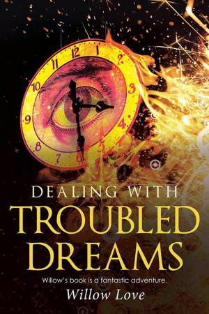 Cover of the book Dealing with Troubled Dreams by Betty Rollins Busch