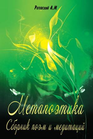 Cover of the book МетаПоэтика by James E. Garratt