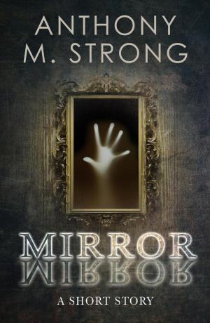 Cover of the book Mirror Mirror by Vanterrius Westbrook